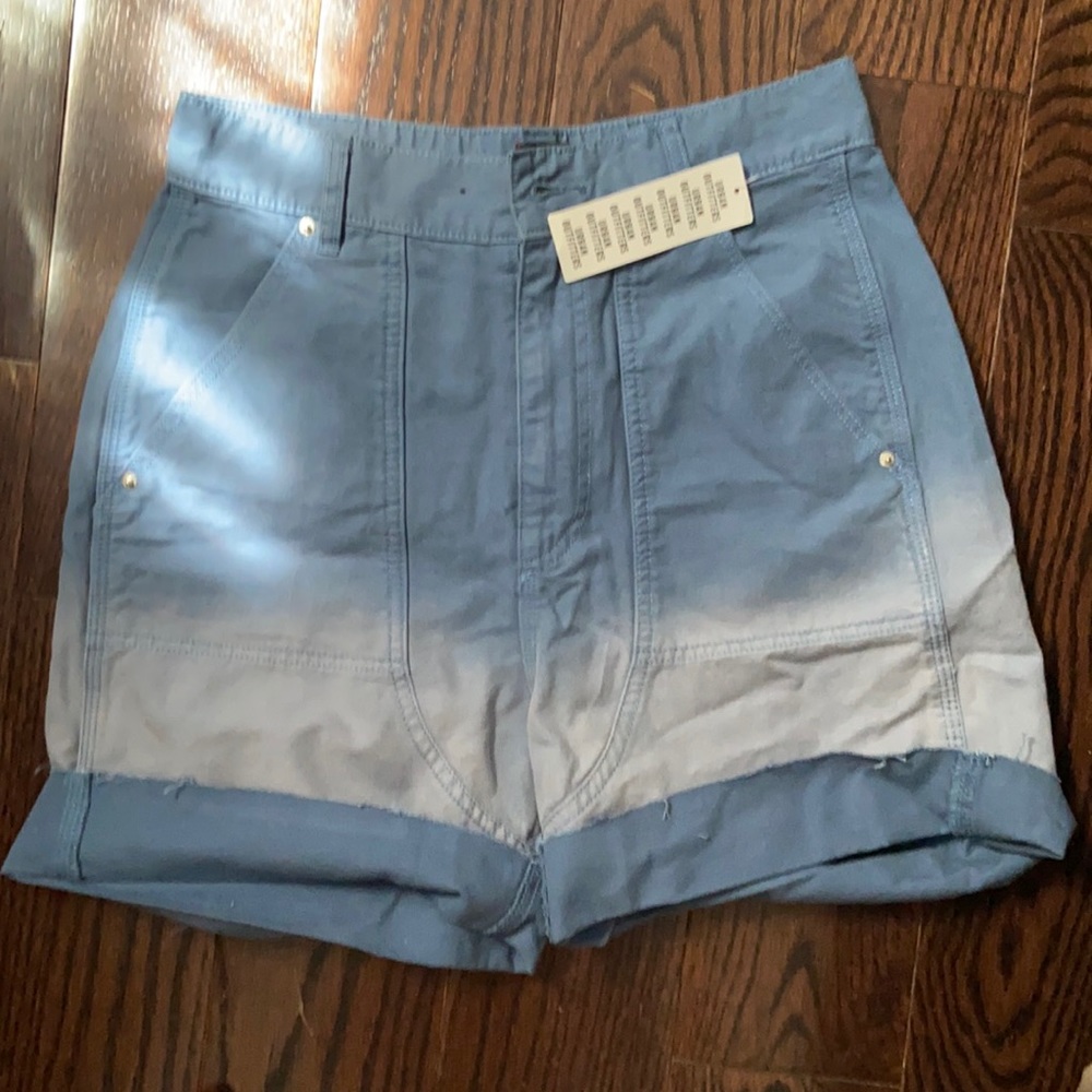 BDG Urban Outfitters Ombré Shorts